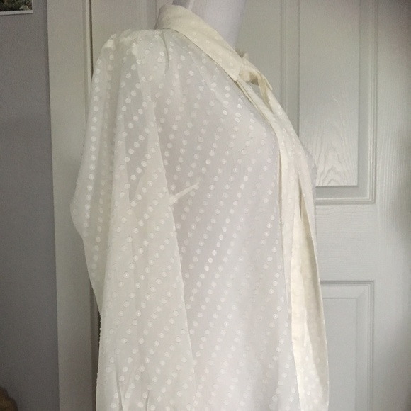 New York & Co Sheer White Button Down Blouse L - Picture 2 of 4